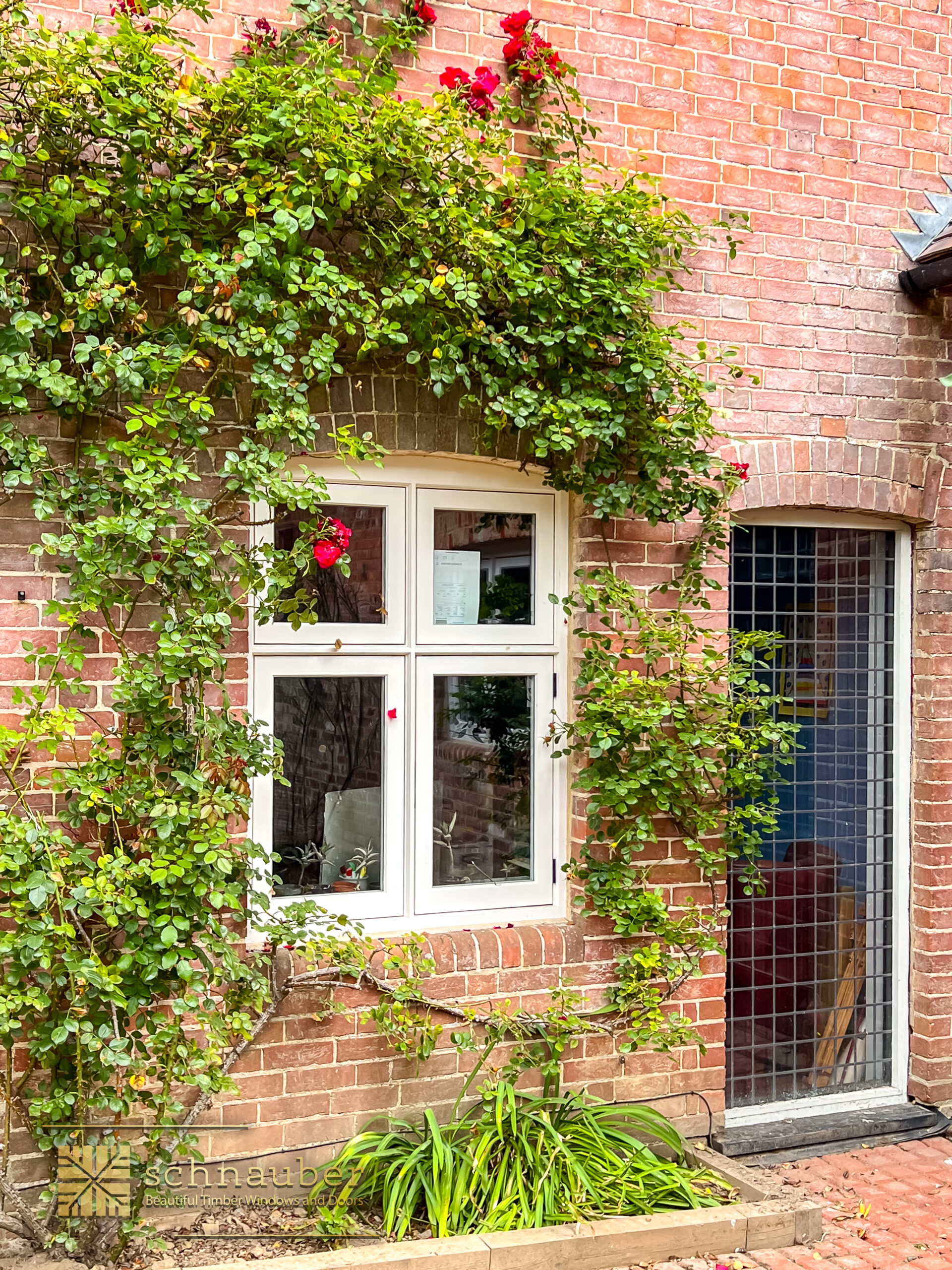 IMG_2243